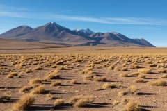 Bolivie Bolivie