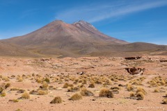 Bolivie Bolivie