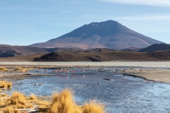 Bolivie Bolivie