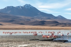 Bolivie Bolivie