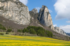 Auvergne-Rhône-Alpes