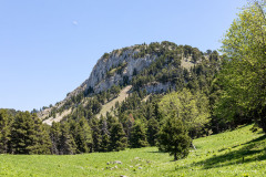 Isère