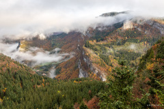 Isère