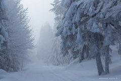 Isère
