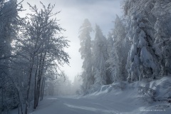 Isère
