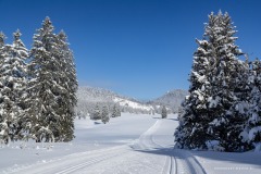 Isère
