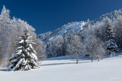 Isère