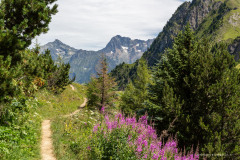 Isère