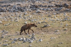 Namibie Namibie