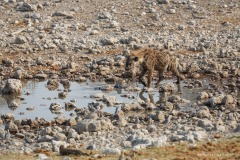 Namibie Namibie