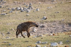 Namibie Namibie