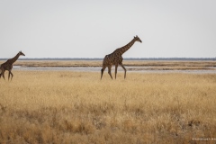 Namibie Namibie