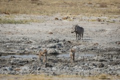 Namibie Namibie