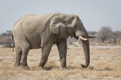 Namibie Namibie