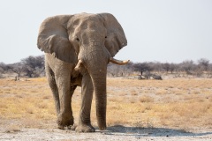 Namibie Namibie