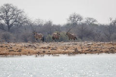 Namibie Namibie