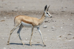 Namibie Namibie