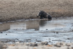Namibie Namibie