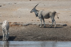 Namibie Namibie