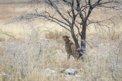 Namibie Namibie