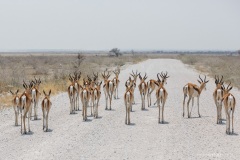 Namibie Namibie