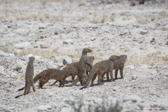 Namibie Namibie