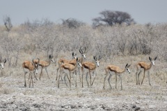 Namibie Namibie