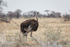 Namibie Namibie