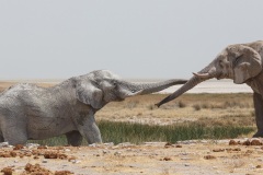 Namibie Namibie