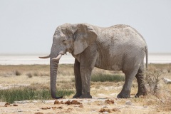 Namibie Namibie