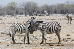 Namibie Namibie