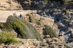 Provence-Alpes-Côte d'Azur