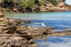 Provence-Alpes-Côte d'Azur