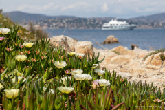 Provence-Alpes-Côte d'Azur