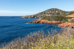 Provence-Alpes-Côte d'Azur