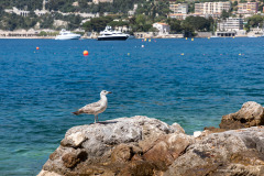 Provence-Alpes-Côte d'Azur