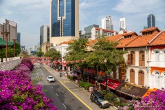 Singapour