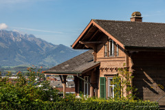 Suisse