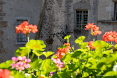 Suisse