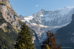 Suisse Suisse