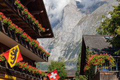 Suisse Suisse