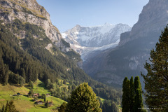 Suisse Suisse