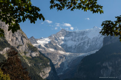 Suisse Suisse