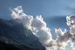 Suisse Suisse