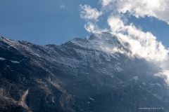 Suisse Suisse