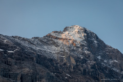 Suisse Suisse
