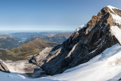 Suisse Suisse