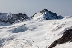 Suisse Suisse