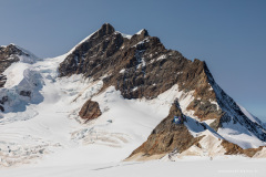 Suisse Suisse