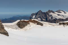 Suisse Suisse